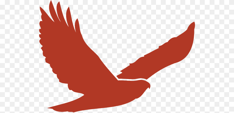 Red Hawk Golf Club, Animal, Bird, Flying, Person Free Png Download
