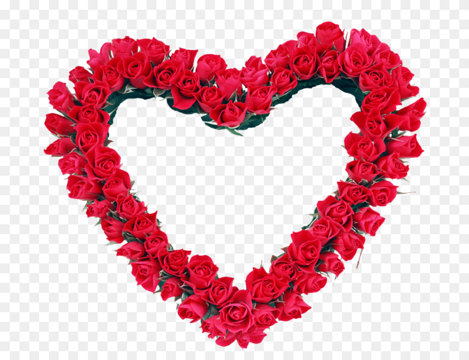 Red Heart Frame, Flower, Flower Arrangement, Plant, Rose Png Image