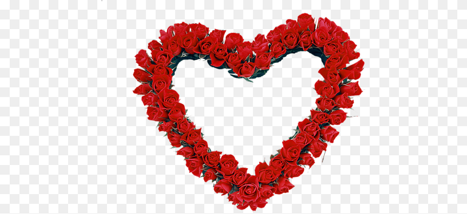 Red Heart Roses Frame Rose Heart Frame, Flower, Plant, Flower Arrangement Free Transparent Png