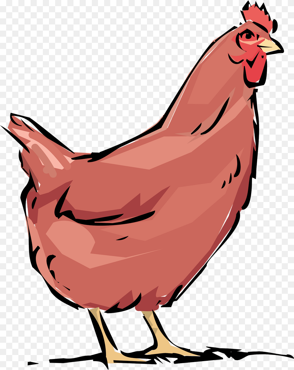 Red Hen Clipart, Animal, Bird, Chicken, Fowl Png Image