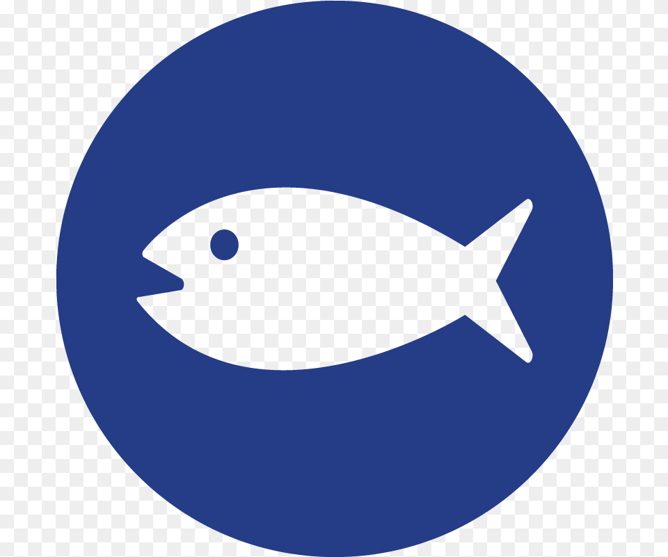 Red Herring Fallacy Icon Red Herring Icon, Animal, Fish, Sea Life, Shark Free Png Download