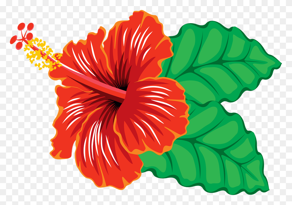 Red Hibiscus Clipart, Flower, Plant Png Image