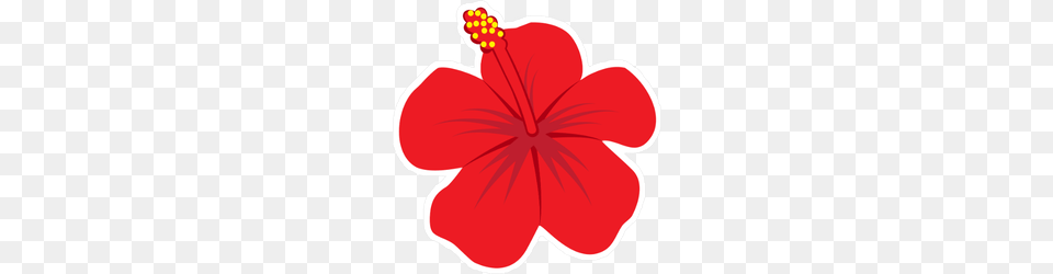 Red Hibiscus Flower Illustration Sticker, Plant, Food, Ketchup Free Png