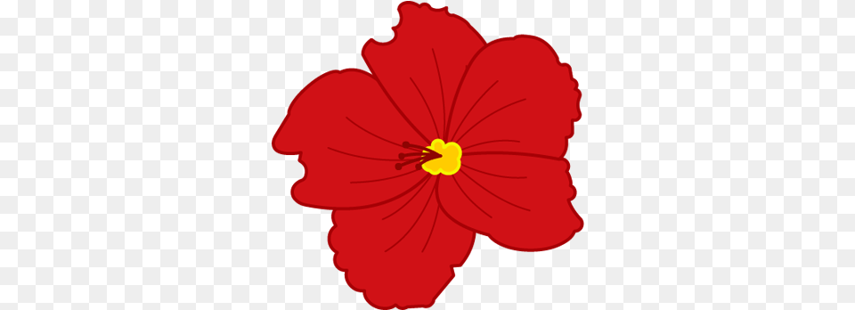 Red Hibiscus Hawaiian Hibiscus, Flower, Plant, Petal, Person Png