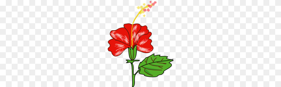 Red Hibiscus With Leaf Clip Art Clip Art Flowers, Flower, Plant, Dynamite, Food Free Png Download