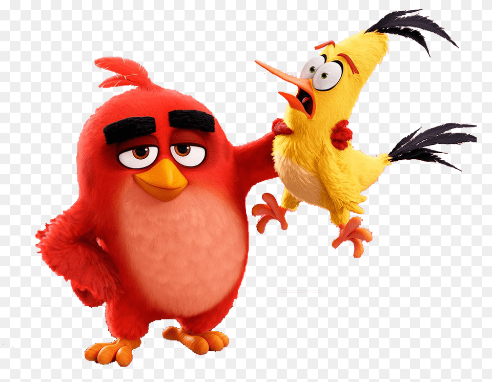 Red In Cartoon Angry Birds Birds Angry Birds Movie Red, Animal, Beak, Bird, Chicken Free Transparent Png