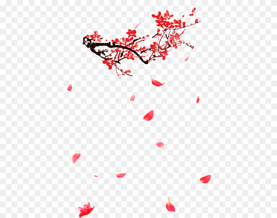 Red Ink Plum Portable Network Graphics, Flower, Petal, Plant, Cherry Blossom Png