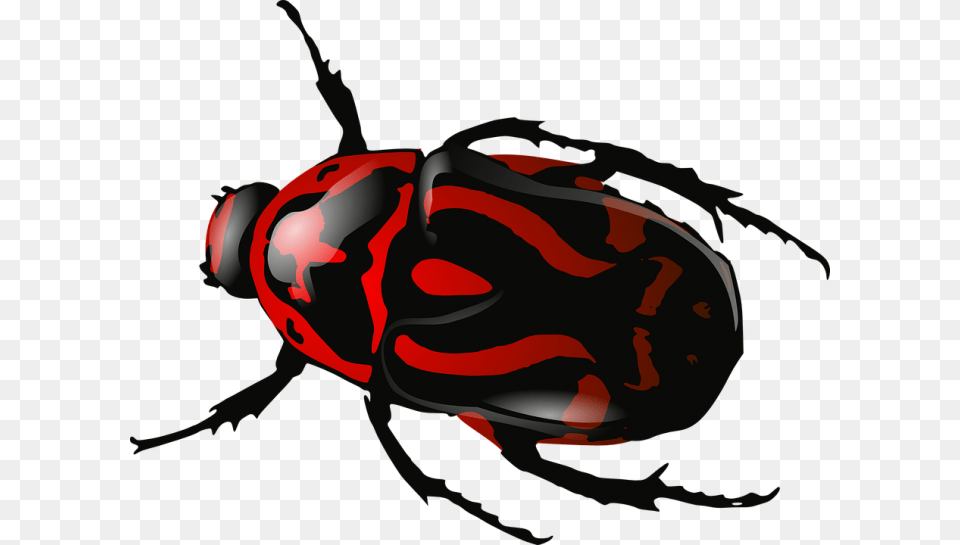 Red Insect Bug Image Beetle Clip Art, Animal, Bee, Invertebrate, Wasp Png