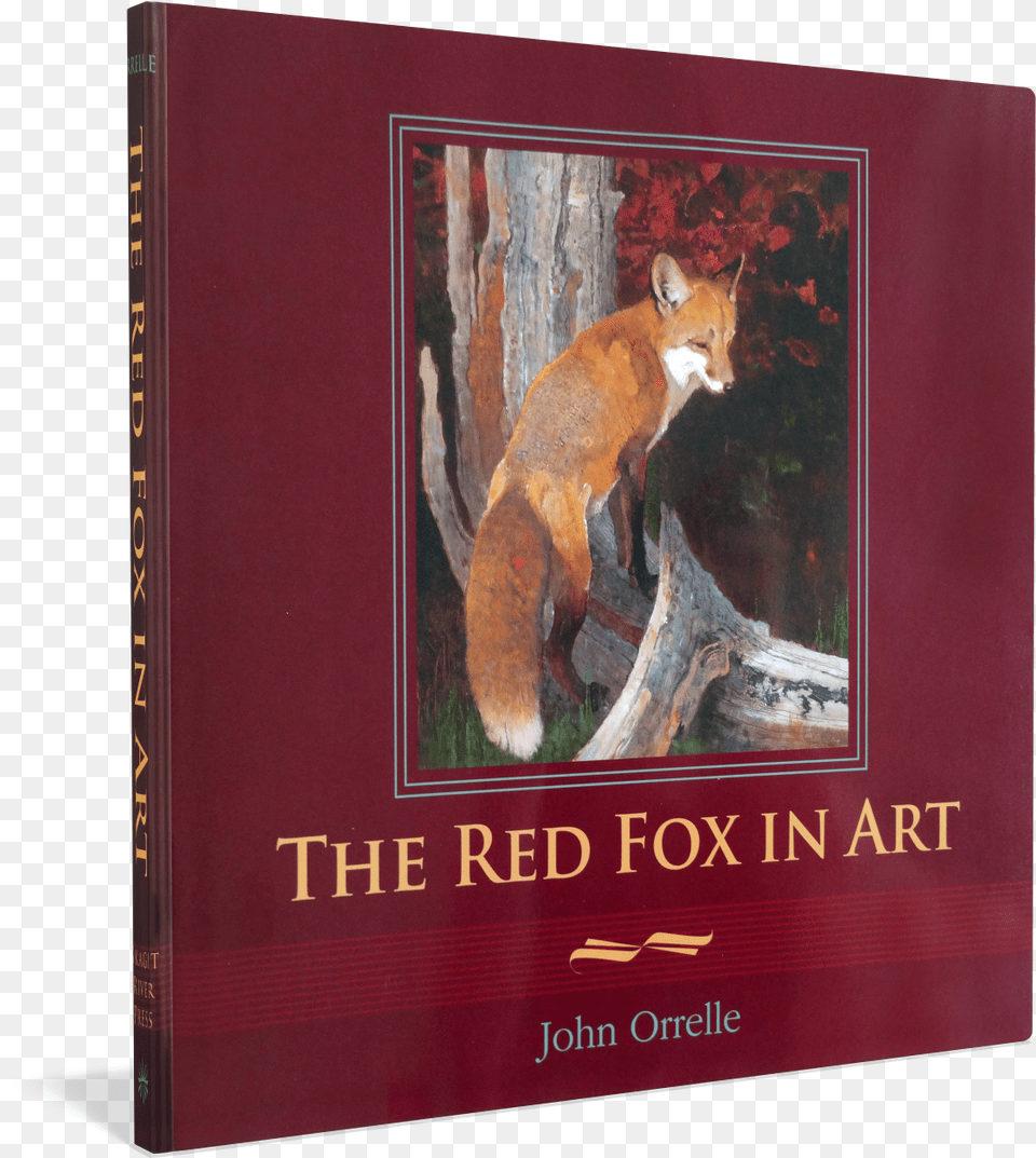 Red Kangaroo, Animal, Fox, Mammal, Wildlife Png Image
