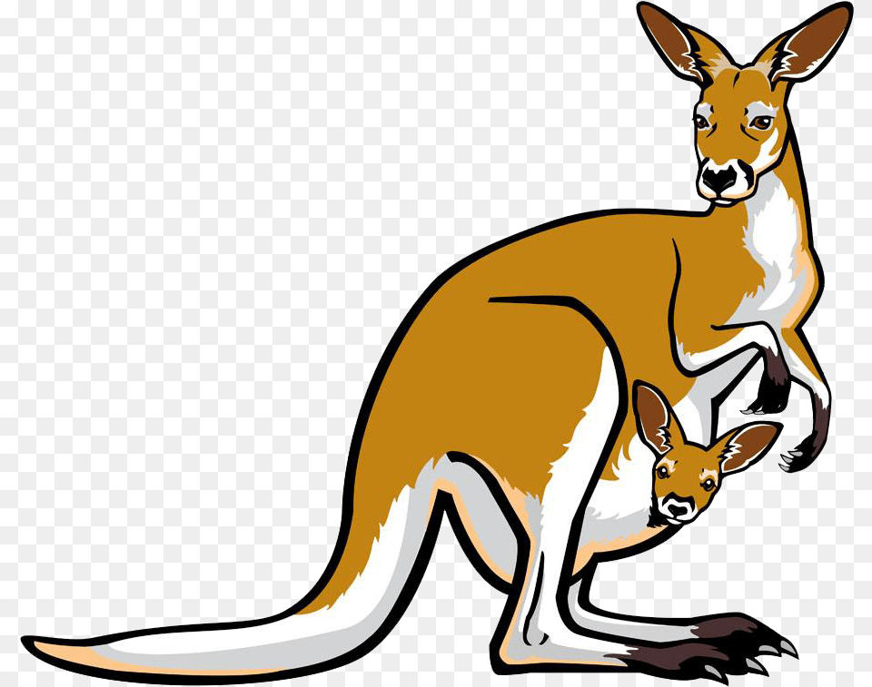 Red Kangaroo Pouch Illustration Transparent Background Kangaroo Cartoon, Animal, Mammal Free Png Download
