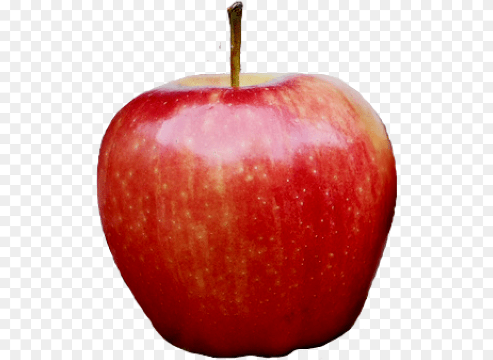 Red Kashmir Apple Download Background Apple, Food, Fruit, Plant, Produce Png