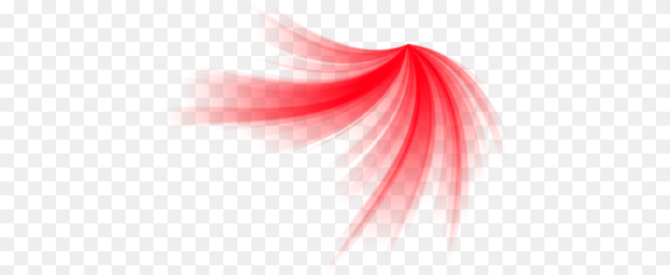 Red Laser Download Lazer, Leaf, Plant, Person, Logo Png Image