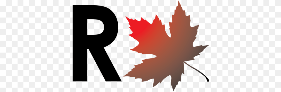 Red Leaf Accountancy Redleafaccounts Twitter Maple Leaf, Maple Leaf, Plant, Tree, Person Free Png