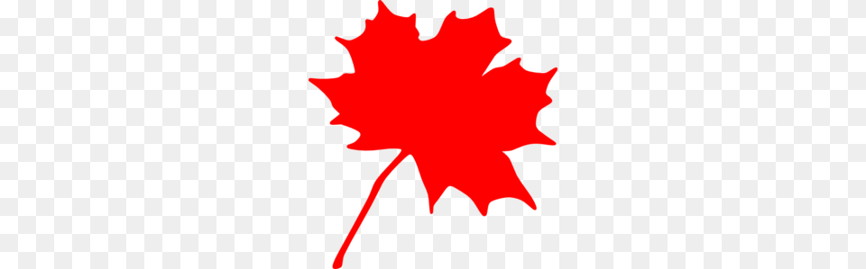 Red Leaf Clip Art, Maple Leaf, Plant, Person Png Image