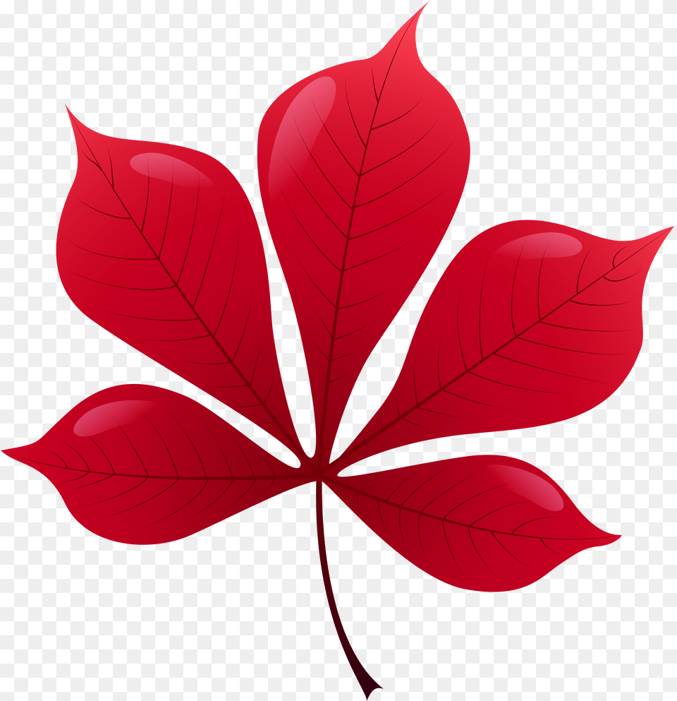 Red Leaf Clip Art, Maple Leaf, Plant, Tree, Dynamite Free Png