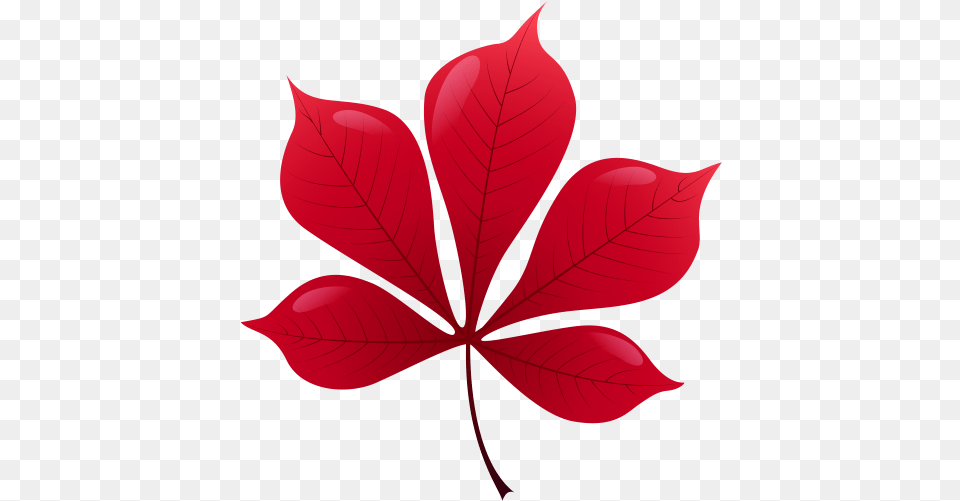 Red Leaf Clip Art Autumn Leaves Photography Red Leaf, Plant, Maple Leaf Png Image
