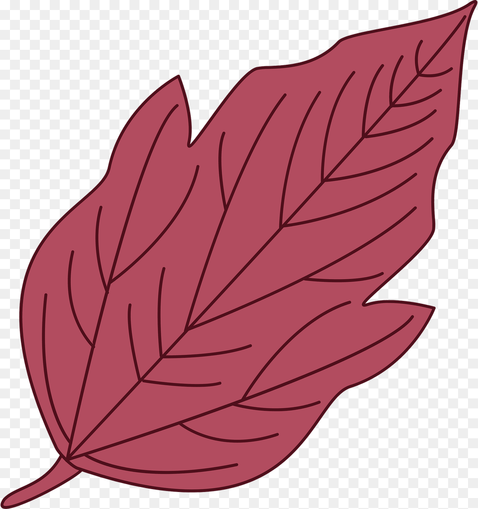 Red Leaf Clipart, Plant, Maple Leaf, Tree, Animal Free Png