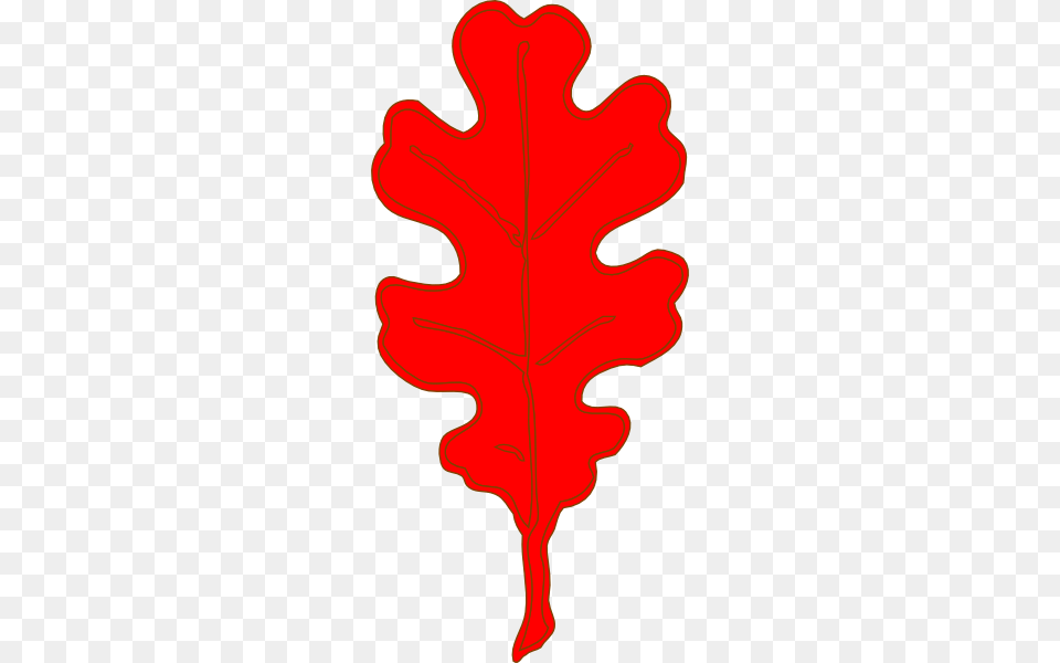 Red Leaf Clipart, Plant, Tree, Maple Leaf Png Image