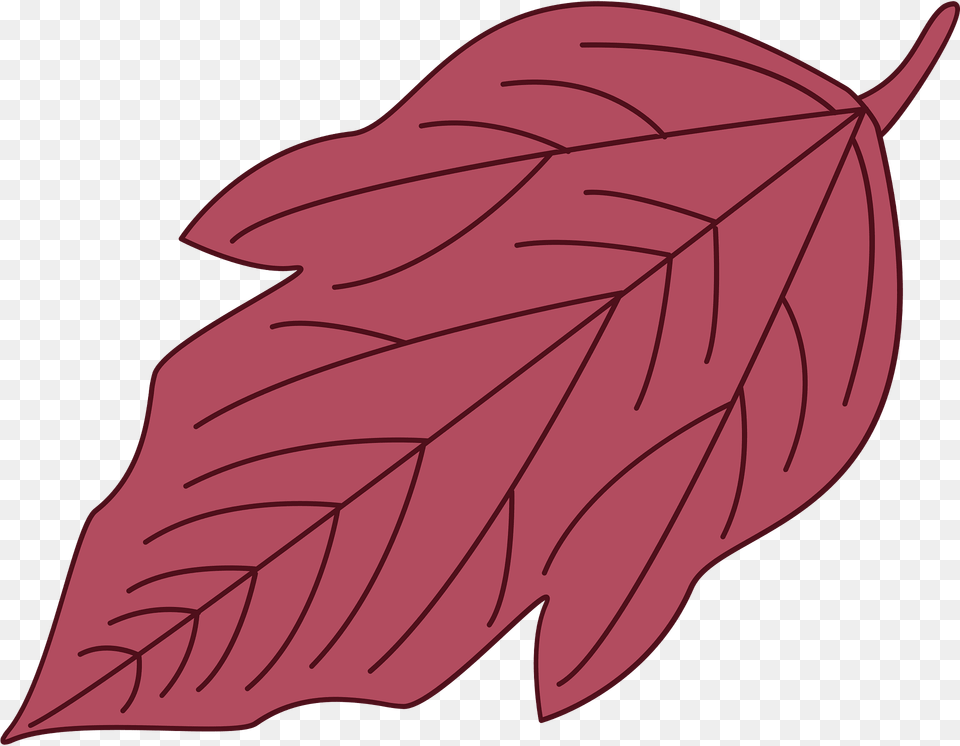 Red Leaf Clipart, Plant, Maple Leaf, Tree, Animal Free Transparent Png