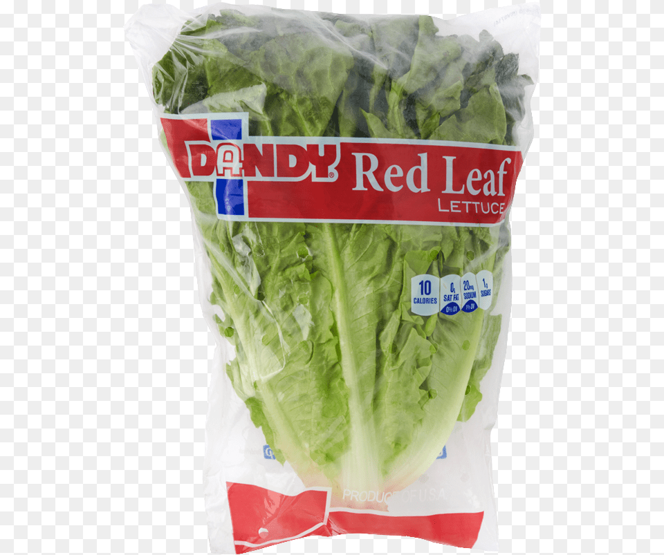 Red Leaf Lettuce Superfood, Food, Plant, Produce, Vegetable Png Image