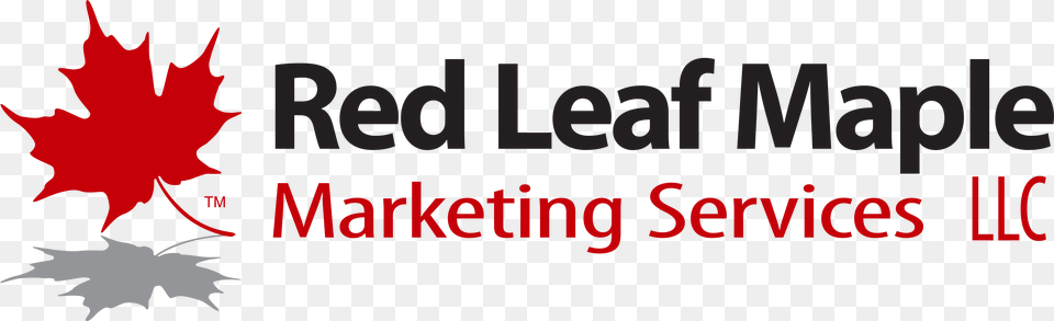 Red Leaf Maple Markting Graphics, Plant, Maple Leaf, Tree, Logo Png Image