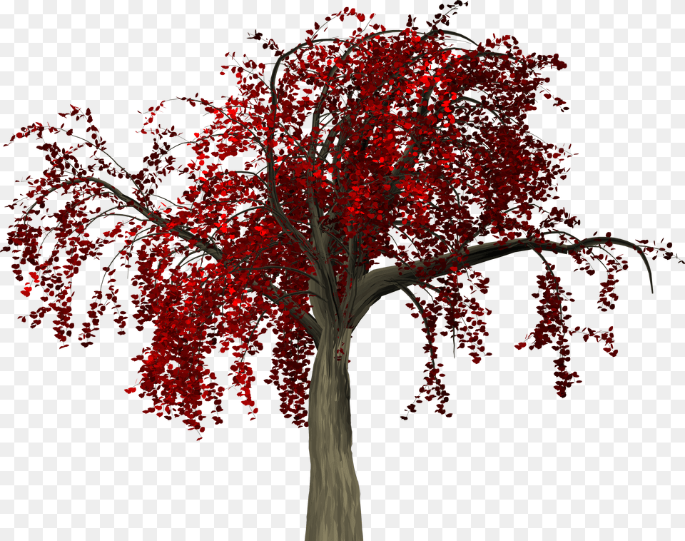 Red Leaves Tree Free Png Download