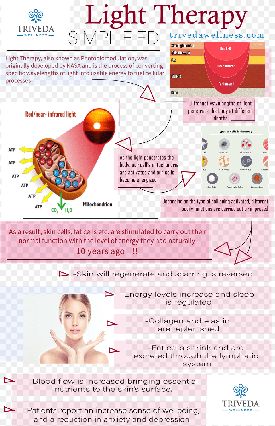 Red Light Therapy Asheville Nc Triveda Wellness Red Light Therapy Infographic, Advertisement, Poster, Adult, Female Free Transparent Png