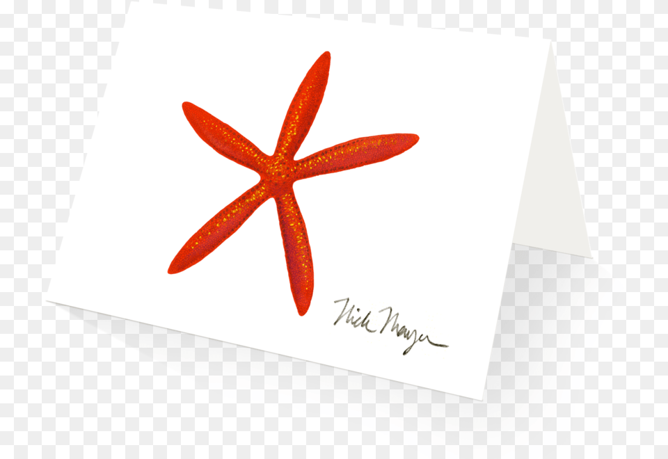 Red Linckia Starfish Construction Paper, Animal, Sea Life Png Image