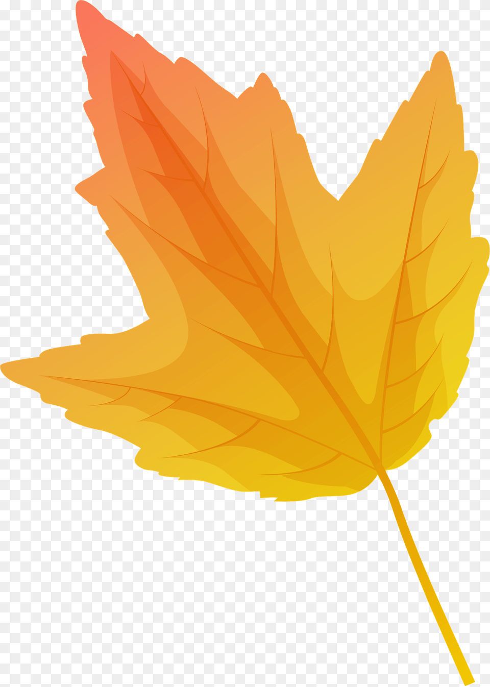 Red Maple Autumn Leaf Clipart, Plant, Tree, Maple Leaf Free Png