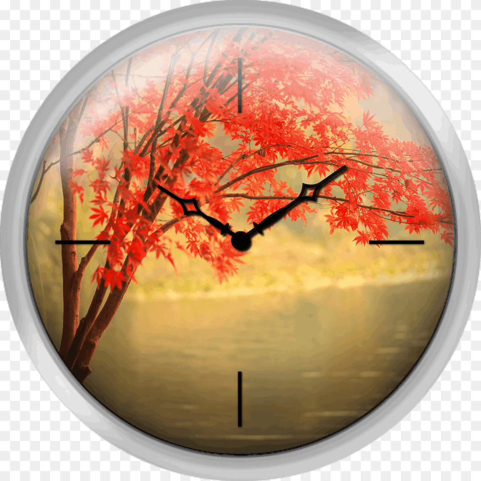 Red Maple Besides River Circle, Leaf, Photography, Plant, Tree Png Image