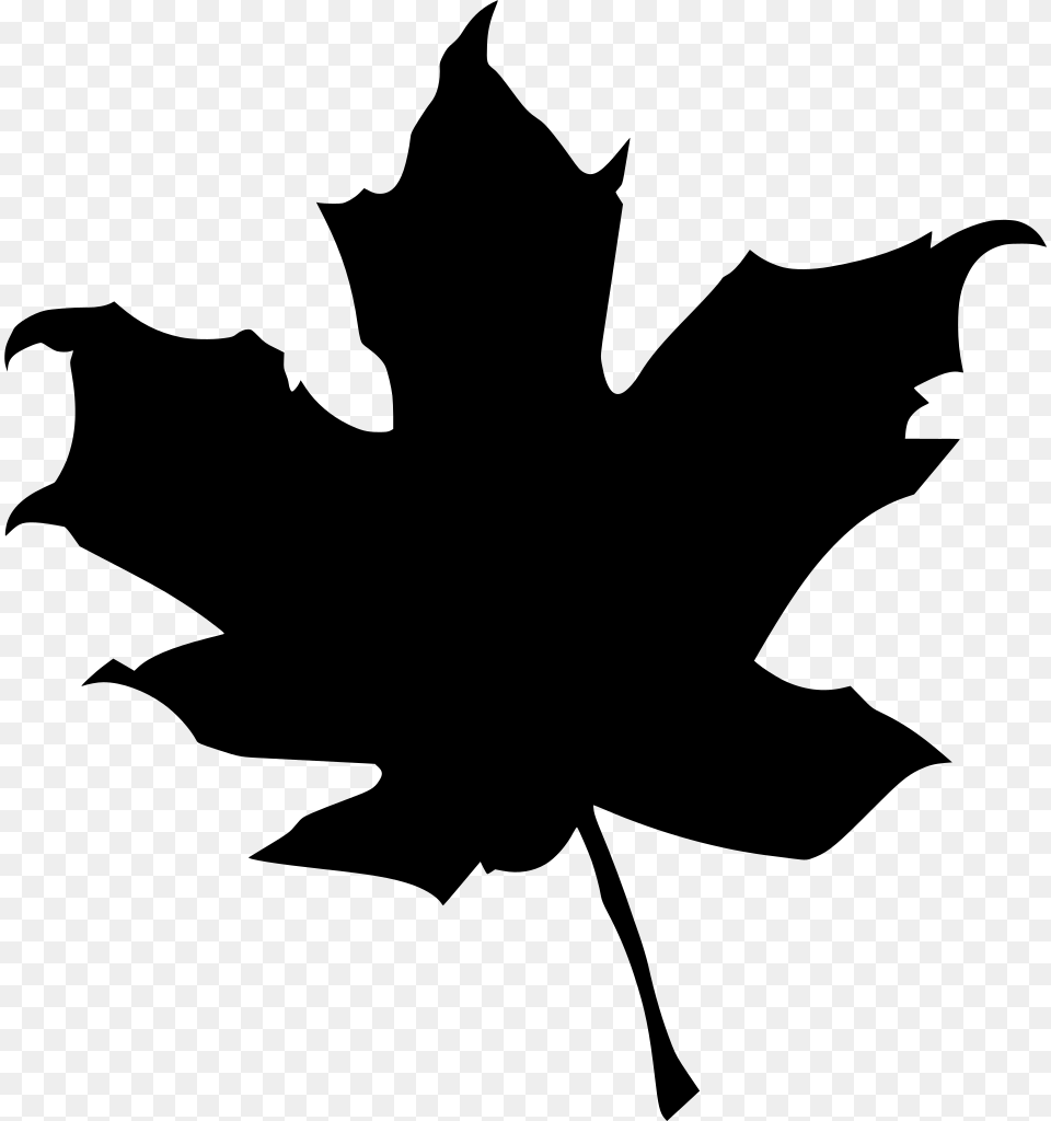 Red Maple Leaf, Gray Free Png Download