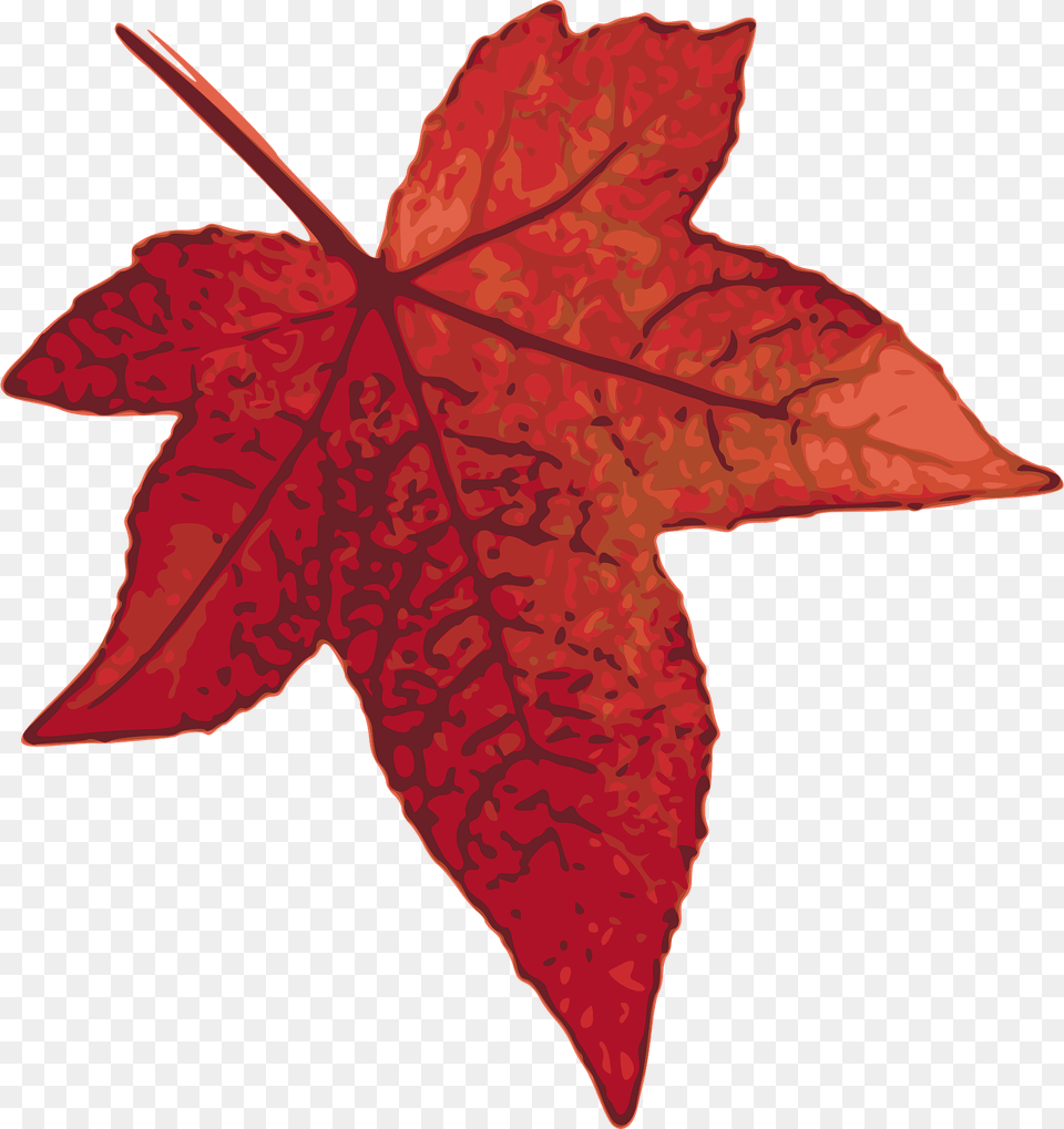 Red Maple Leaf Clipart, Plant, Tree, Maple Leaf Png