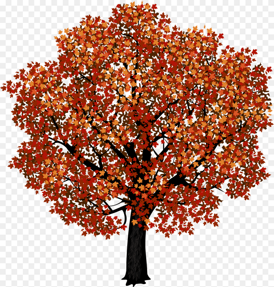 Red Maple Tree Clipart Picture Transparent Background Maple Tree, Leaf, Plant Png Image