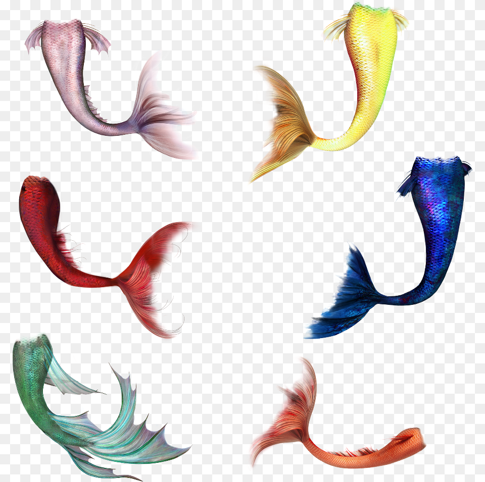 Red Mermaid Tail Clipart Download, Animal, Fish, Sea Life Png