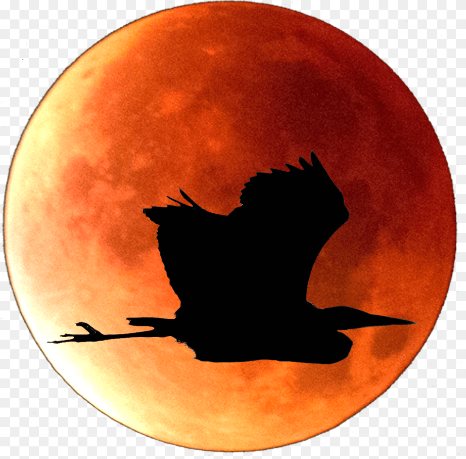 Red Moon, Astronomy, Nature, Night, Outdoors Png Image