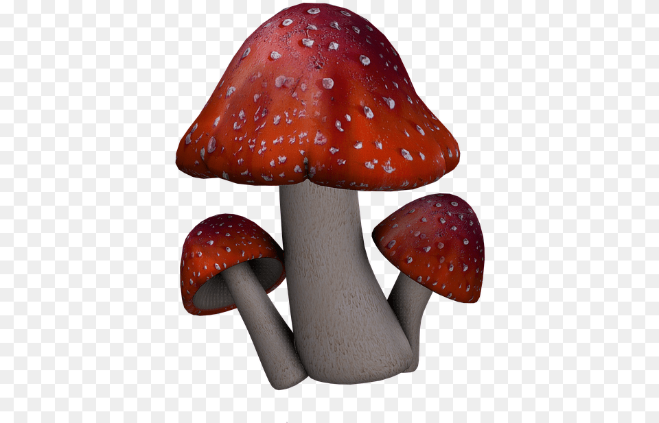 Red Mushroom Fantasy Mushrooms, Agaric, Amanita, Fungus, Plant Png