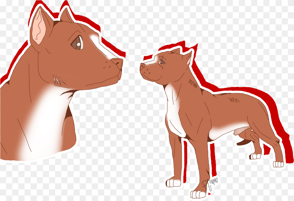 Red Nose Pitbull Dog, Face, Head, Person, Animal Free Png