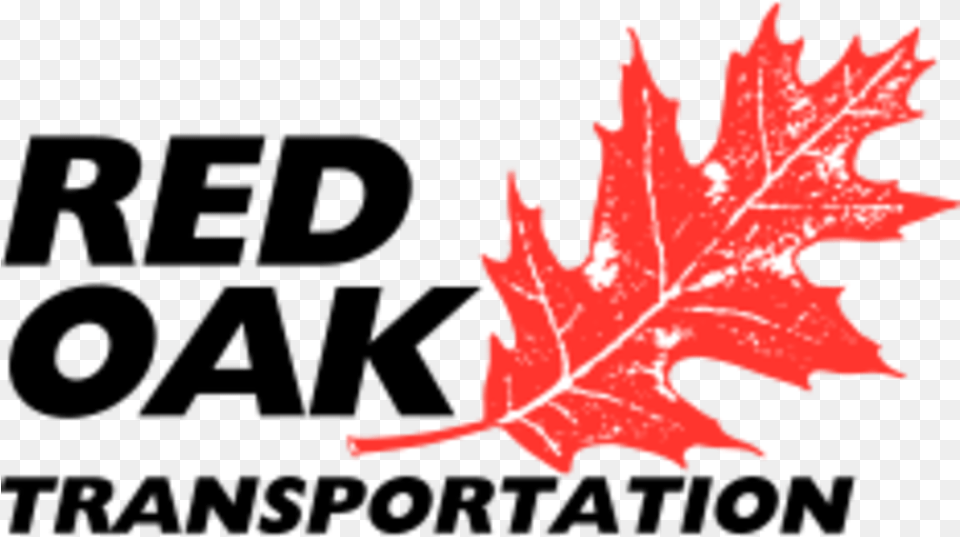 Red Oak Transportation Red Oak Transportation, Leaf, Plant, Tree, Maple Leaf Png