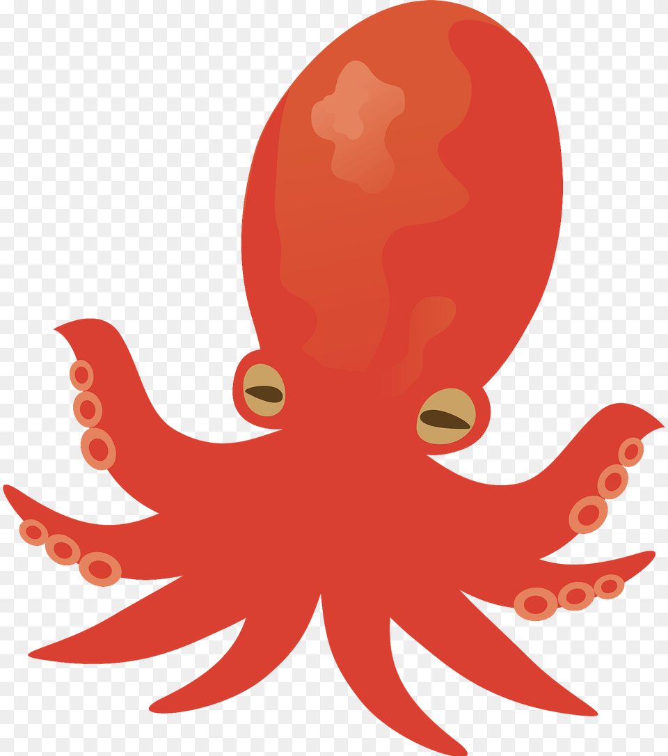 Red Octopus Clipart, Animal, Sea Life, Invertebrate, Fish Free Png