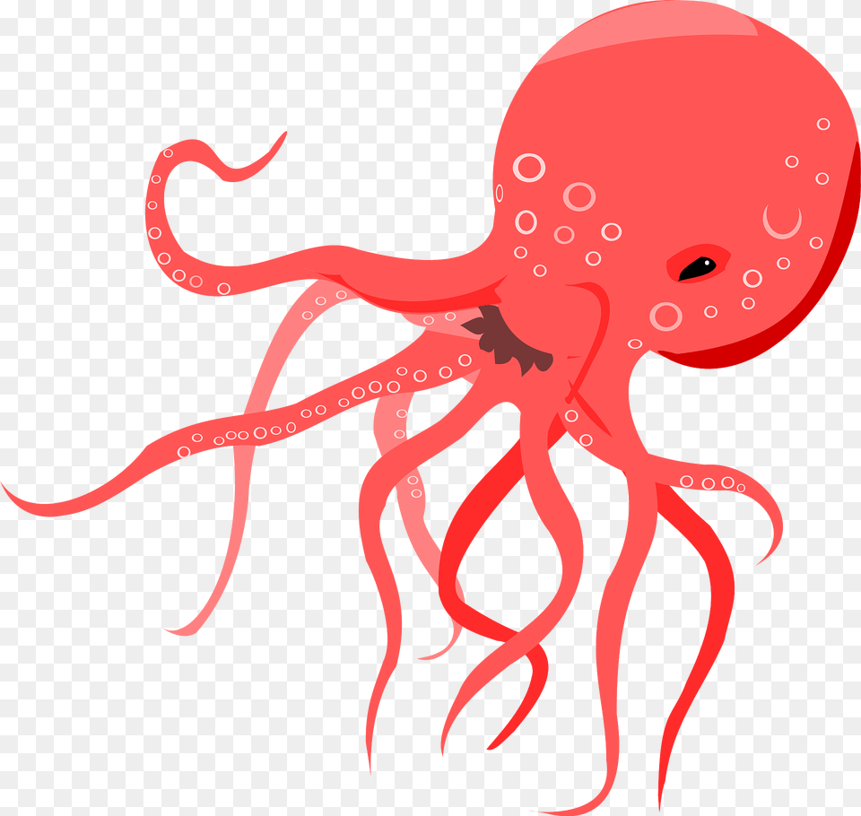 Red Octopus Clipart, Animal, Sea Life, Invertebrate Png