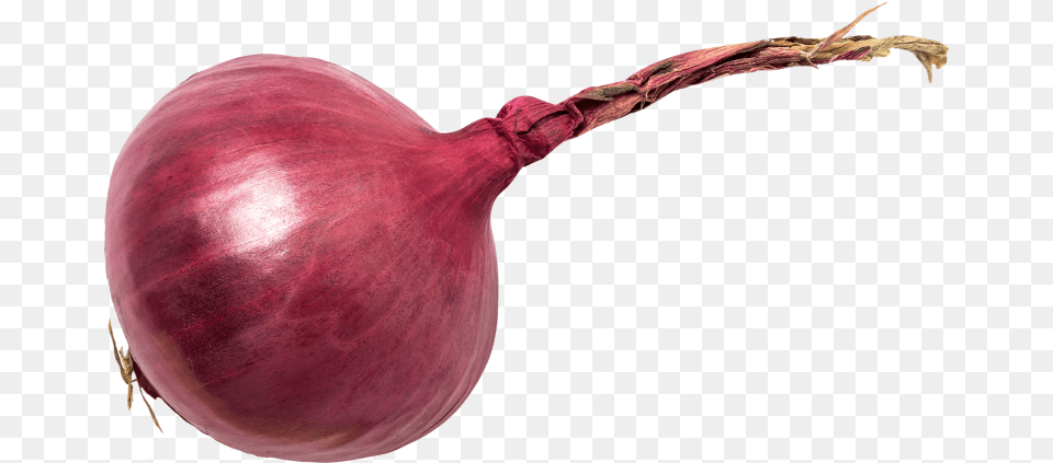 Red Onion, Food, Produce, Plant, Vegetable Png