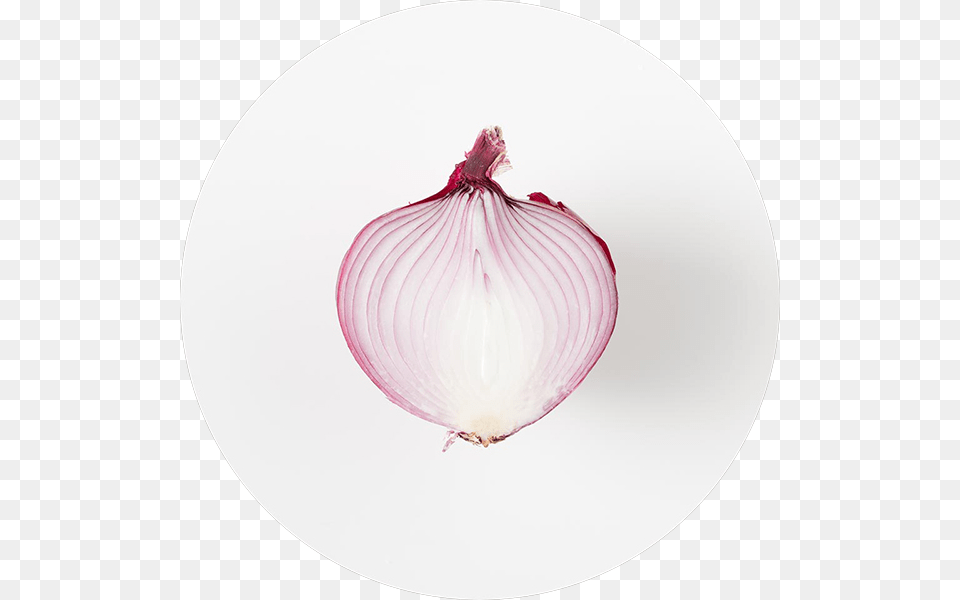 Red Onion, Food, Produce, Plant, Vegetable Free Png