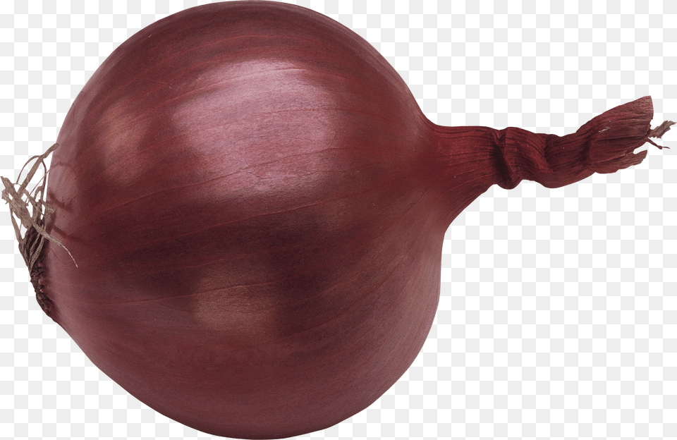 Red Onion, Food, Plant, Produce, Vegetable Png Image