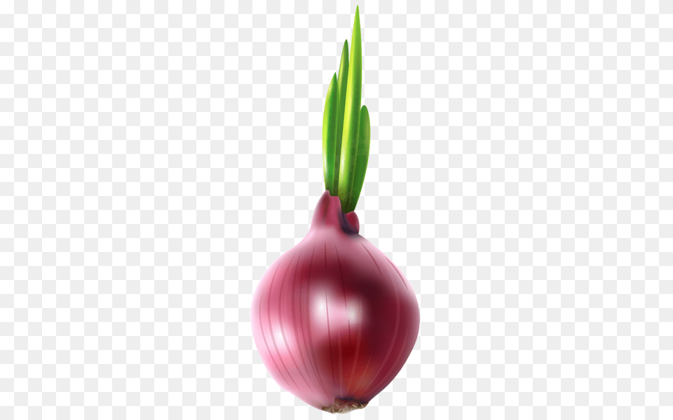 Red Onion Clip Art, Food, Produce, Plant, Vegetable Free Transparent Png