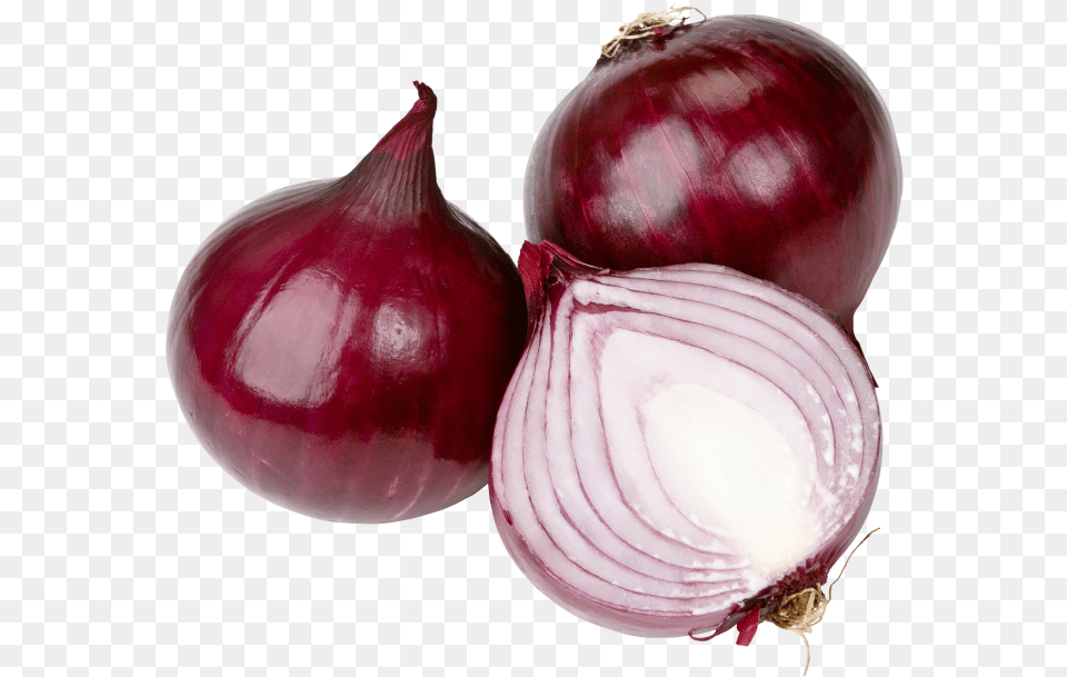 Red Onion Fresh Onion, Food, Produce, Plant, Vegetable Png