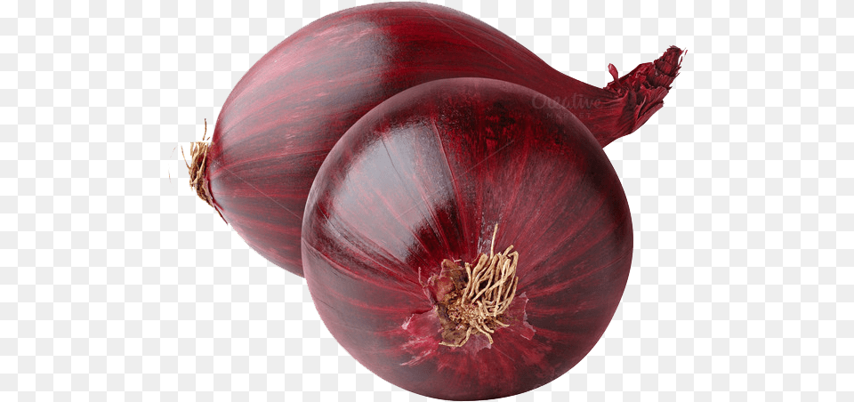 Red Onion Image Onion, Food, Produce, Plant, Vegetable Free Png