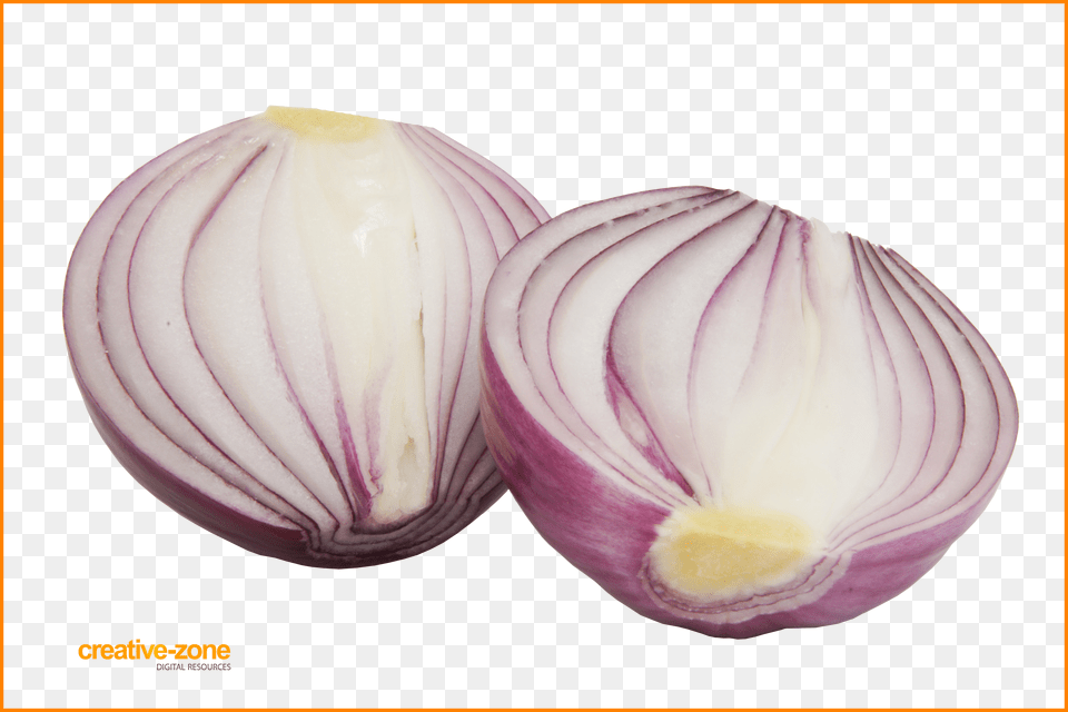Red Onion Sliced Transparent Onion, Indoors, Bathroom, Room, Toilet Png Image
