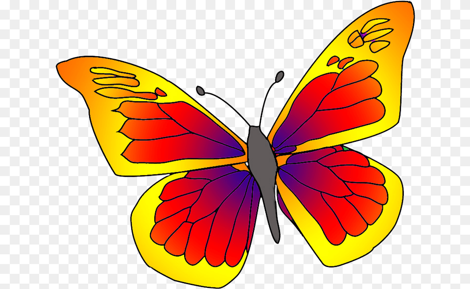Red Orange Butterfly Clipart Orange And Red Butterfly, Animal, Insect, Invertebrate, Flower Free Transparent Png