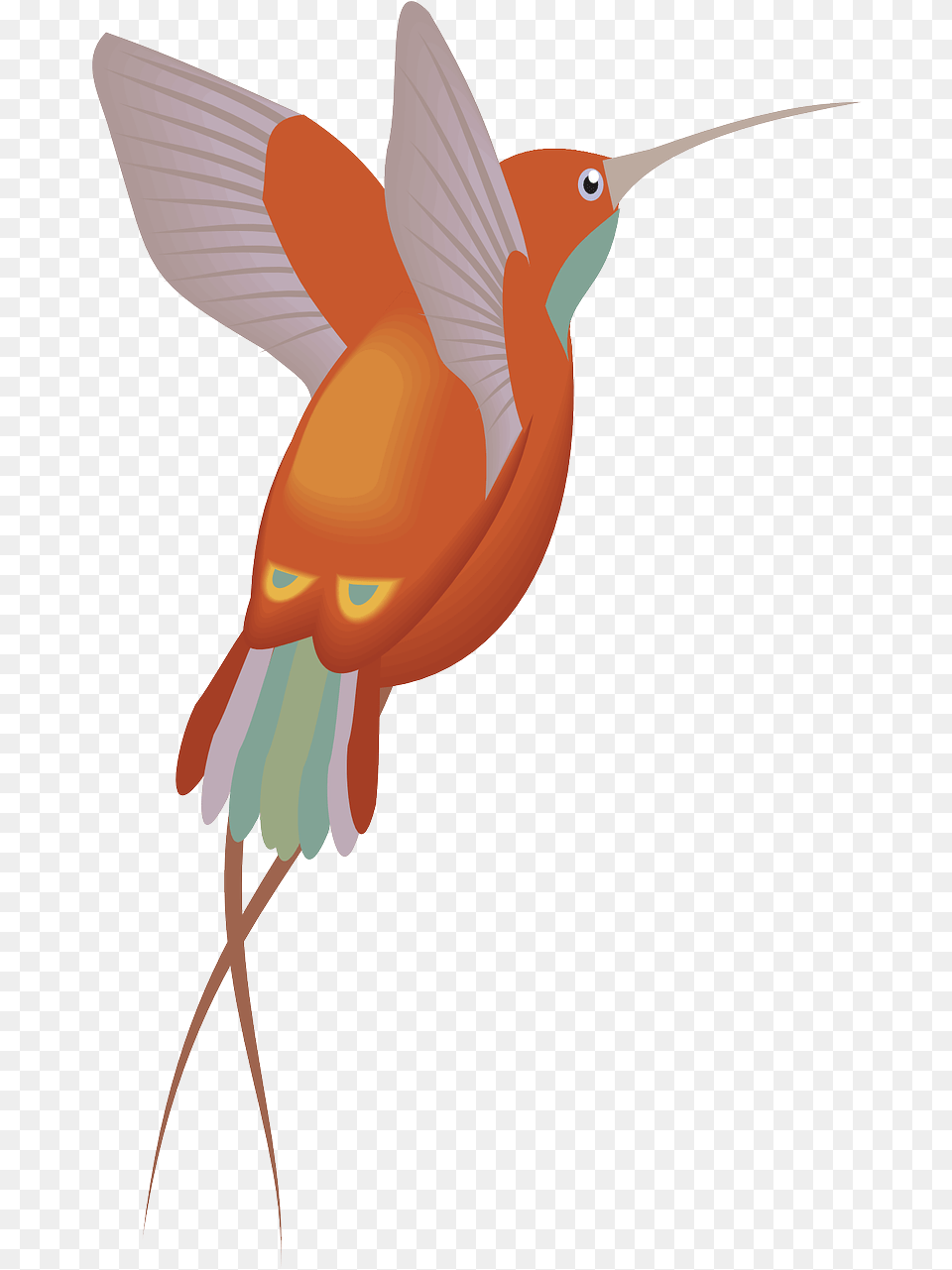 Red Orange Hummingbird Bird Wings Clip Art, Animal, Fish, Sea Life, Shark Png