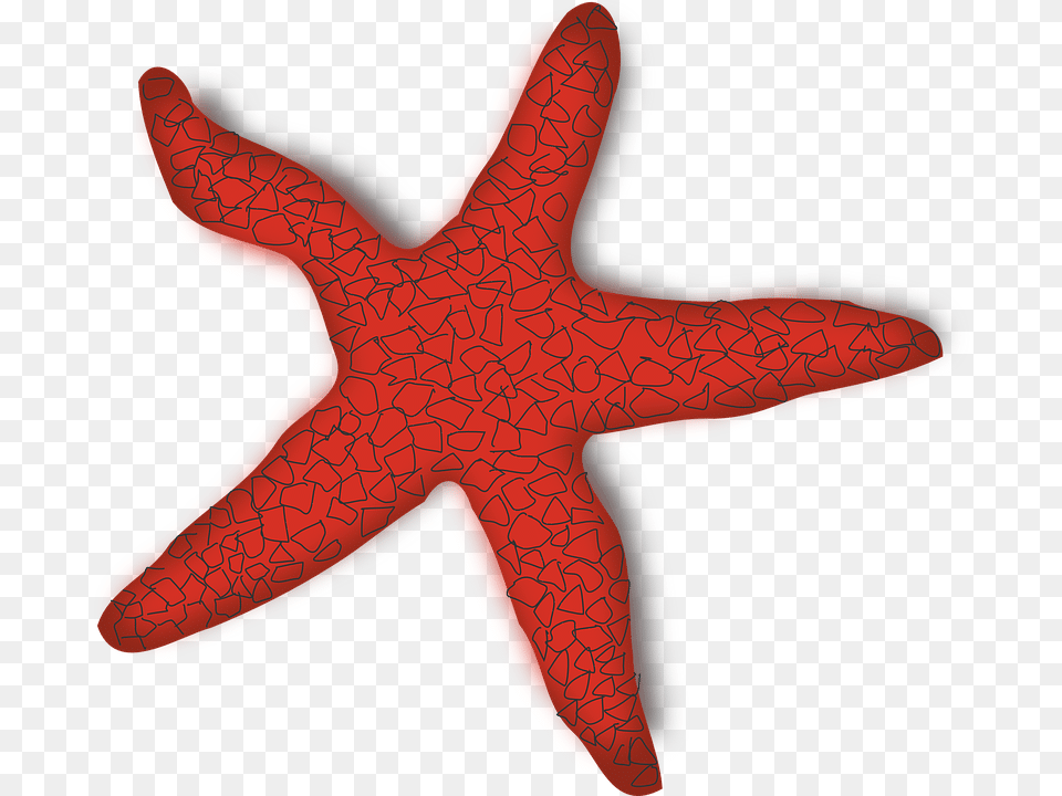 Red Outline Star Silhouette Cartoon Fish Red Starfish Clipart, Animal, Sea Life, Invertebrate, Reptile Free Png Download